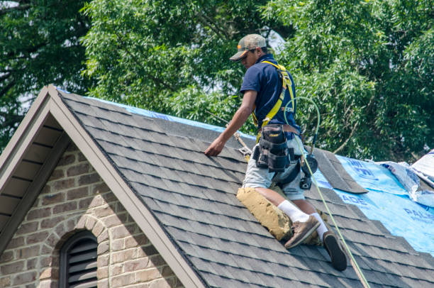 Best Roof Maintenance Services  in Kermit, TX
